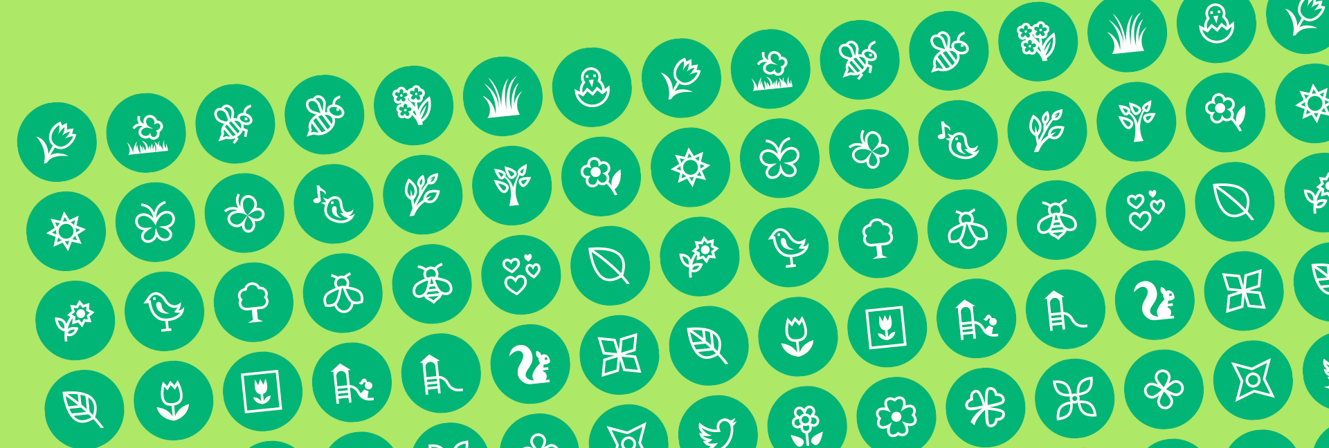 spring icons