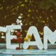 Team