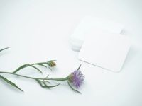 NFC business cards
