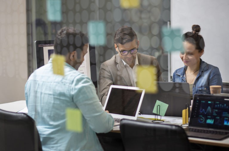 Project management - software development