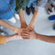 Team Collaboration