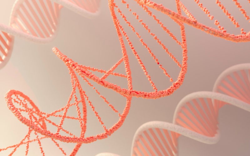 DNA