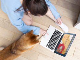 Pet store online