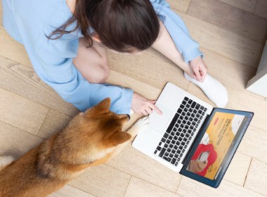 Pet store online