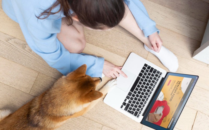 Pet store online