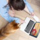 Pet store online
