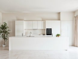 White kitchen cabinets